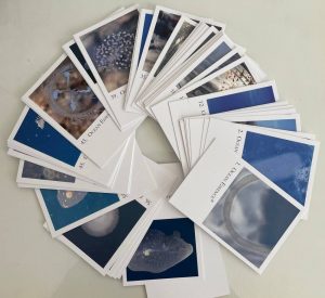 Set de Carduri cu Esențele Oceanice nr. 1-60