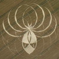 249.) Alien Spider, Cerne Abbas Dorset, UK 2025 / Păianjen Extraterestru, Cerne Abbas Dorset, Anglia 2025