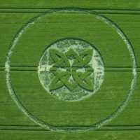 251.) Sutton Veny, UK 2025 / Sutton Veny, Anglia 2025