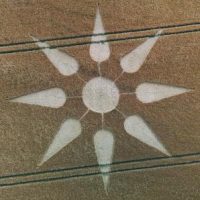 253.) Bondip Hill Somerset, UK 2025 / Bondip Hill Somerset, Anglia 2025